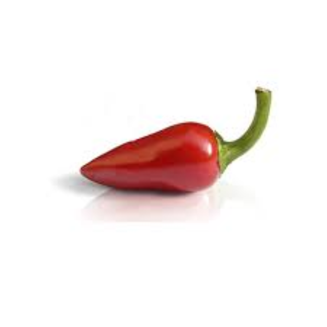FRESH RED BULLET CHILLI